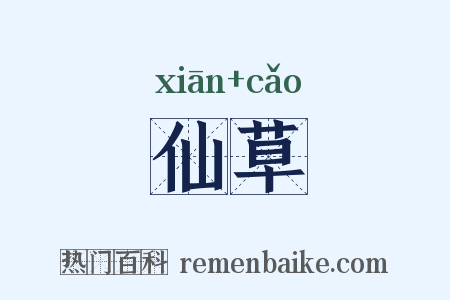 仙草是什么意思的图片